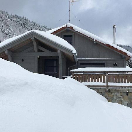 Chalet Bel Horizon La Montagne Des Lamas La Bresse Bagian luar foto